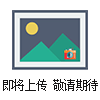 LW110雷电预警系统